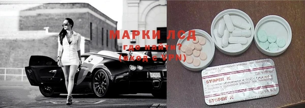 индика Михайлов