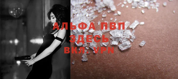 индика Горно-Алтайск