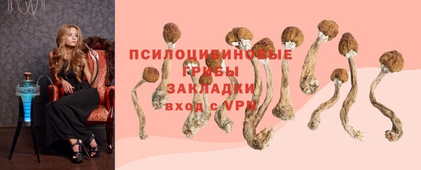 индика Горно-Алтайск