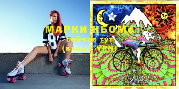 индика Горно-Алтайск