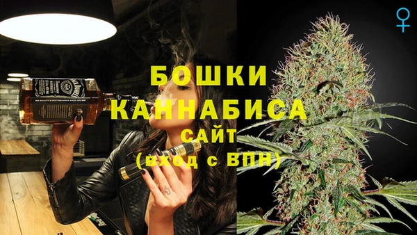 спайс Гусиноозёрск