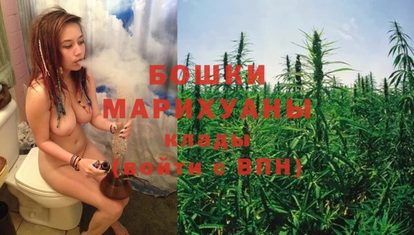 spice Гусь-Хрустальный