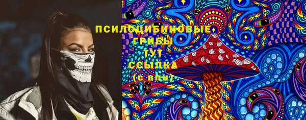 прущие грибы Лихославль