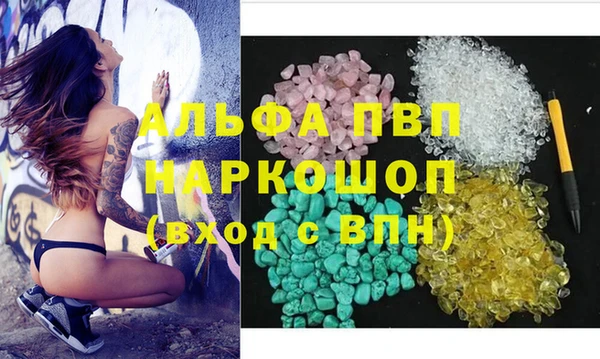 прущие крисы Горняк