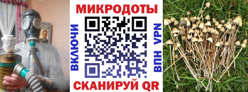 Псилоцибиновые грибы прущие грибы  закладка  Облучье 
